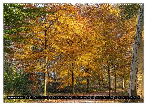 Produktbild: Herbst rund um den Bodensee (Wandkalender 2026 DIN A2 quer), CALVENDO Monatskalender