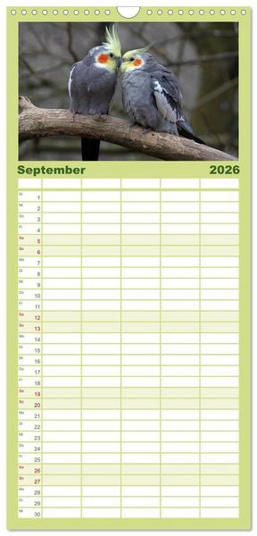 Produktbild: Familienplaner 2026 - Nymphensittiche mit 5 Spalten (Wandkalender, 21 x 45 cm) CALVENDO