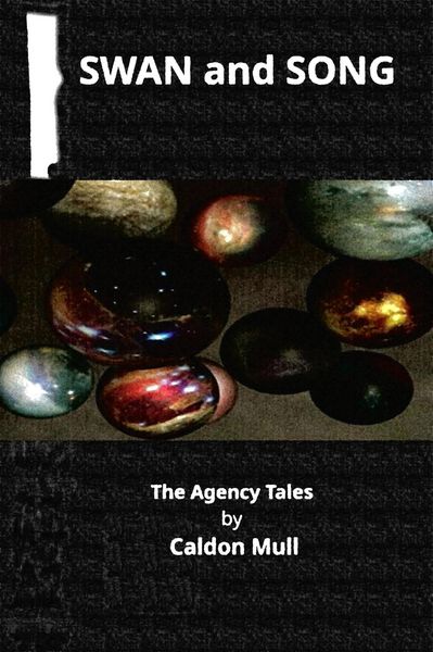 Produktbild: Swan and Song (The Agency Tales, #4)