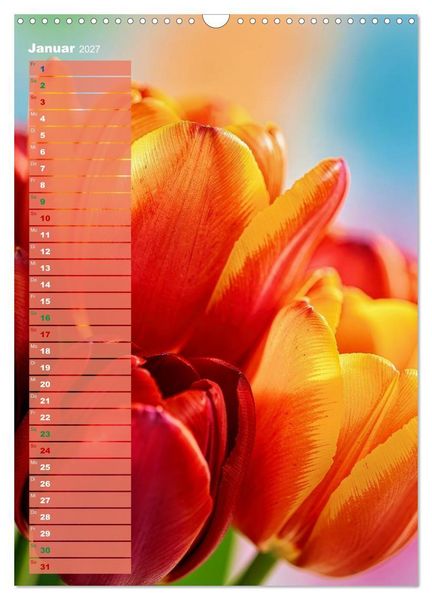 Produktbild: Bunte Augenblicke (Wandkalender 2027 DIN A3 hoch), CALVENDO Monatskalender