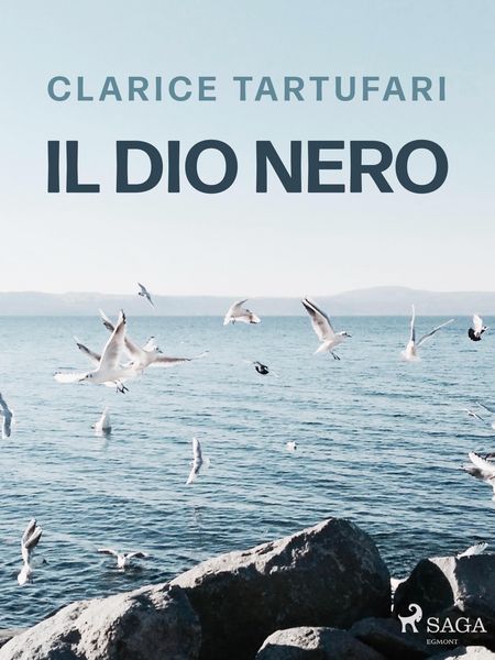 Produktbild: Il dio nero