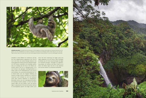 Mein Costa Rica