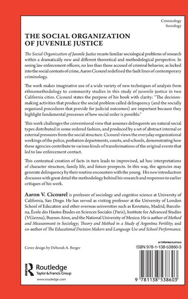 Produktbild: The Social Organization of Juvenile Justice