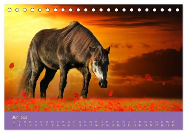 Produktbild: Von der Magie der Pferde (Tischkalender 2026 DIN A5 quer), CALVENDO Monatskalender