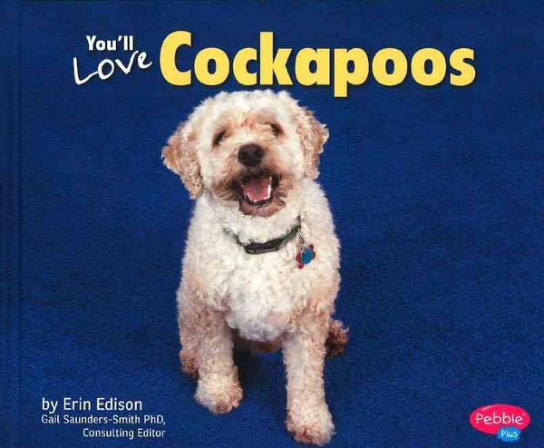 Produktbild: You'll Love Cockapoos