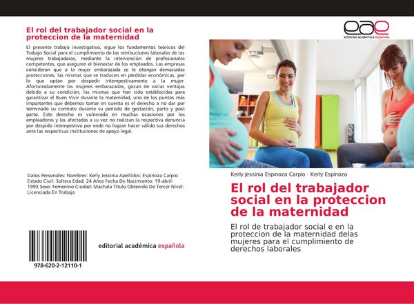 Produktbild: El rol del trabajador social en la proteccion de la maternidad