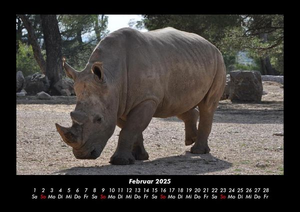 Produktbild: Der Tierkalender 2025 Fotokalender DIN A3