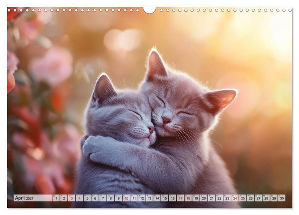 Produktbild: Kleine K&auml;tzchen - Ein Jahr voller Samtpfotenzauber (Wandkalender 2027 DIN A3 quer), CALVENDO Monatskalender