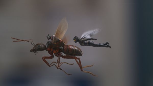 Produktbild: Ant-Man and the Wasp