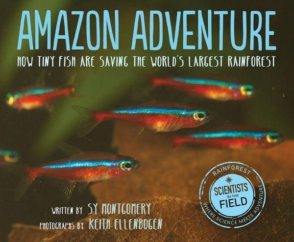 Produktbild: Amazon Adventure