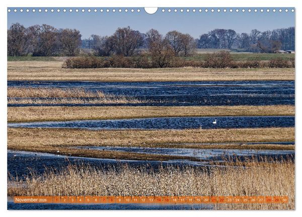 Produktbild: Flusslandschaft Elbe (Wandkalender 2026 DIN A3 quer), CALVENDO Monatskalender