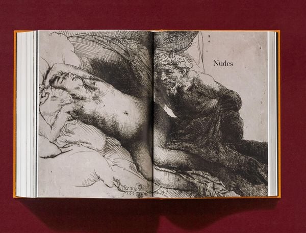 Produktbild: Rembrandt. S&auml;mtliche Zeichnungen und Radierungen