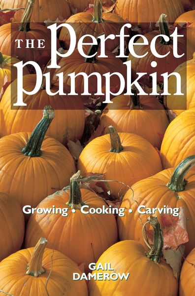 Produktbild: The Perfect Pumpkin