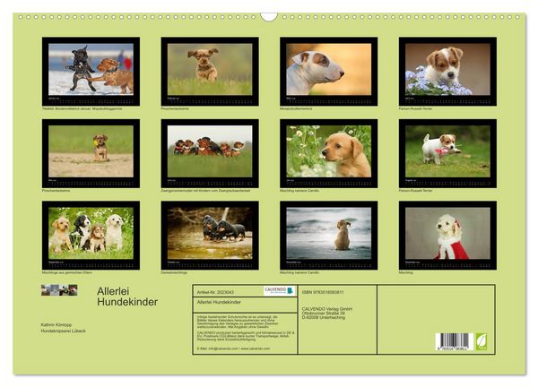 Produktbild: Allerlei Hundekinder (Wandkalender 2026 DIN A2 quer), CALVENDO Monatskalender
