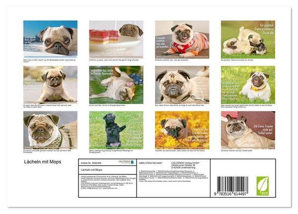 Produktbild: L&auml;cheln mit Mops (Wandkalender 2026 DIN A4 quer), CALVENDO Monatskalender