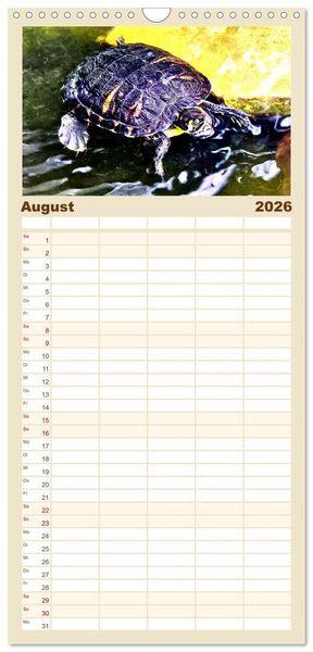 Produktbild: Familienplaner 2026 - Schmuckschildkr&ouml;ten - Schmuckst&uuml;cke der Natur mit 5 Spalten (Wandkalender, 21 x 45 cm) CALVENDO