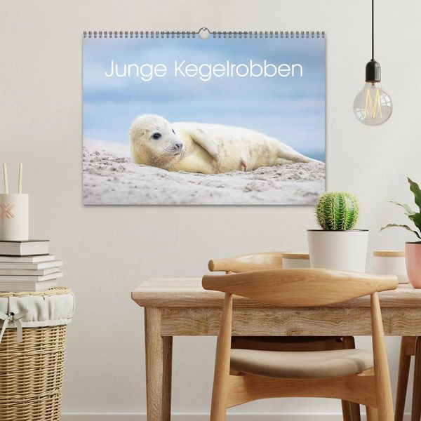 Produktbild: Junge Kegelrobben (Wandkalender 2026 DIN A3 quer), CALVENDO Monatskalender
