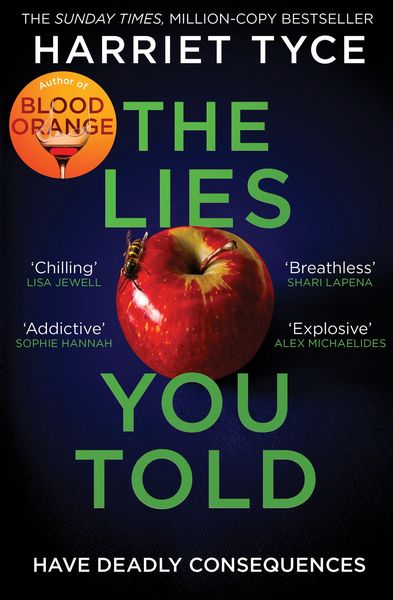 Produktbild: The Lies You Told