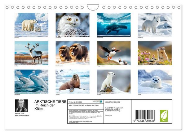 Produktbild: ARKTISCHE TIERE Im Reich der K&auml;lte (Wandkalender 2026 DIN A4 quer), CALVENDO Monatskalender