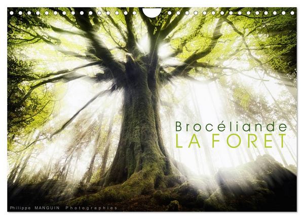 Produktbild: BROCELIANDE, la for&ecirc;t (Calendrier mural 2026 DIN A4 vertical), CALVENDO calendrier mensuel