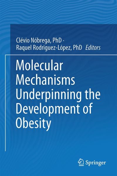 Produktbild: Molecular Mechanisms Underpinning the Development of Obesity