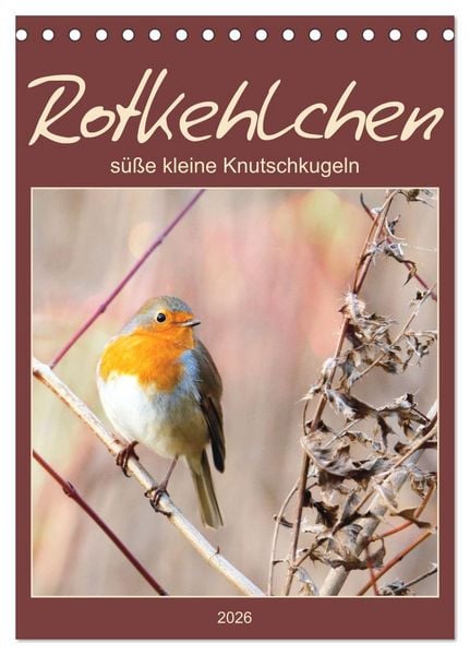 Produktbild: Rotkehlchen, s&uuml;&szlig;e kleine Knutschkugeln (Tischkalender 2026 DIN A5 hoch), CALVENDO Monatskalender