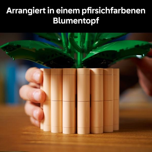 Produktbild: LEGO Botanicals 11504 Friedenslilie, Kunstblumen, DIY Deko Pflanzen