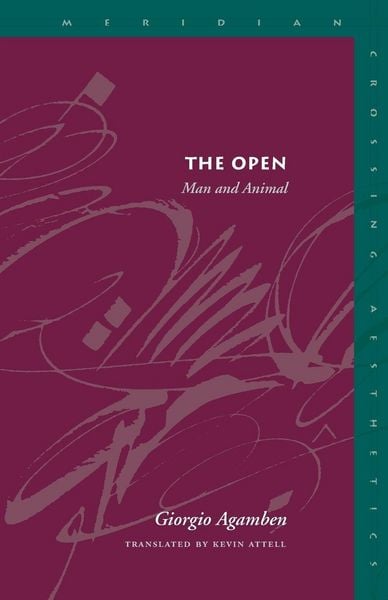 Produktbild: The Open