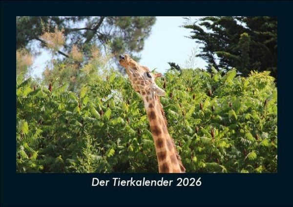 Der Tierkalender 2026 Fotokalender DIN A5