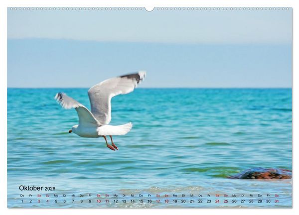 Produktbild: Ostseebad K&uuml;hlungsborn. Erholung mit allen Sinnen (hochwertiger Premium Wandkalender 2026 DIN A2 quer), Kunstdruck in Hochglanz