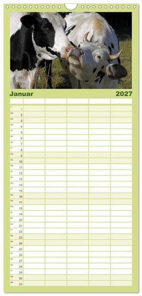 Produktbild: Familienplaner 2027 - Muuuhhh! mit 5 Spalten (Wandkalender, 21 x 45 cm) CALVENDO