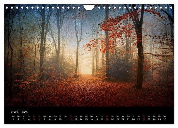 Produktbild: BROCELIANDE, la for&ecirc;t (Calendrier mural 2026 DIN A4 vertical), CALVENDO calendrier mensuel