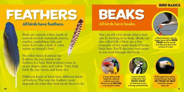 Produktbild: Little Kids First Big Book of Birds