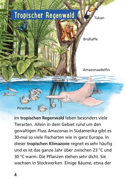 Produktbild: Pixi Wissen 42: Tiere der Welt