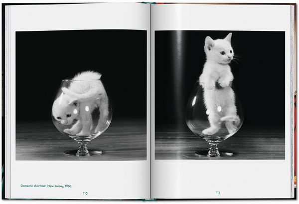 Produktbild: Walter Chandoha