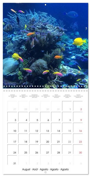 Produktbild: Maldives - Sun, water and beach (Wall Calendar 2026 12 &times; 12 Inch) CALVENDO 12 Month Wall Calendar
