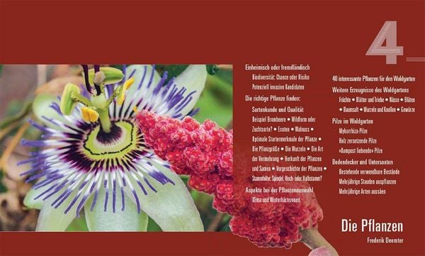 Produktbild: Praxisbuch Waldgarten