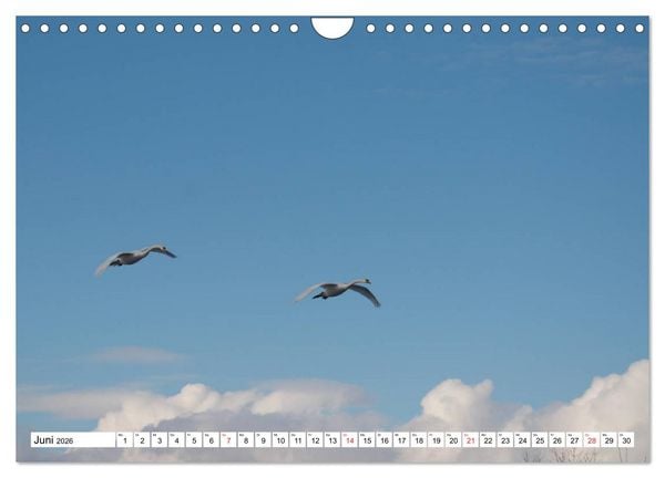 Produktbild: Zauberhaftes Mangfalltal (Wandkalender 2026 DIN A4 quer), CALVENDO Monatskalender