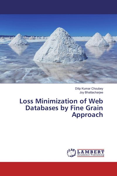 Produktbild: Loss Minimization of Web Databases by Fine Grain Approach