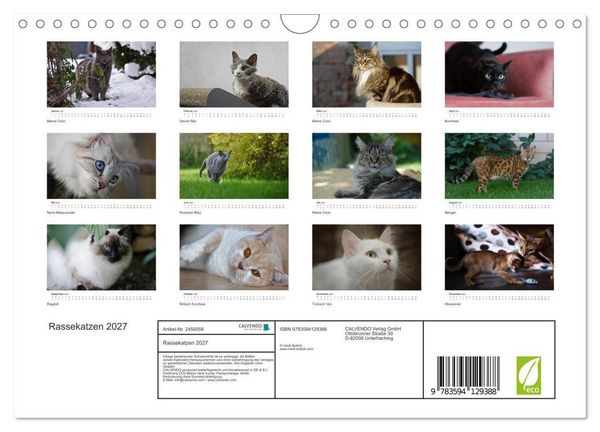 Produktbild: Rassekatzen 2027 (Wandkalender 2027 DIN A4 quer), CALVENDO Monatskalender