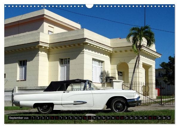 Produktbild: Ford Thunderbird (Wall Calendar 2026 DIN A3 landscape), CALVENDO 12 Month Wall Calendar