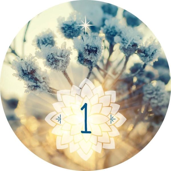 Produktbild: Adventskalender in der Dose. 24 Entspannungsmomente für den Advent