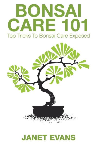 Produktbild: Bonsai Care 101