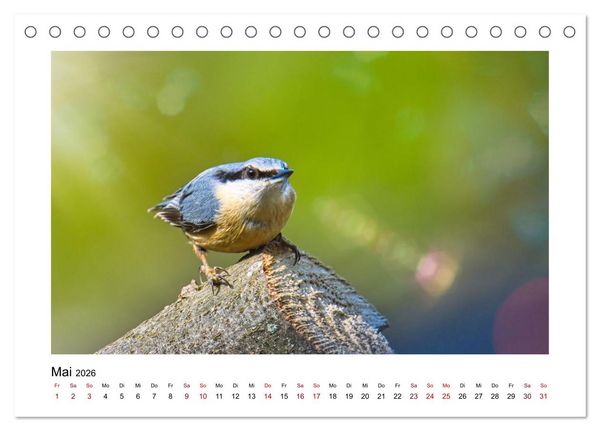 Produktbild: Flinke Kleiber (Tischkalender 2026 DIN A5 quer), CALVENDO Monatskalender