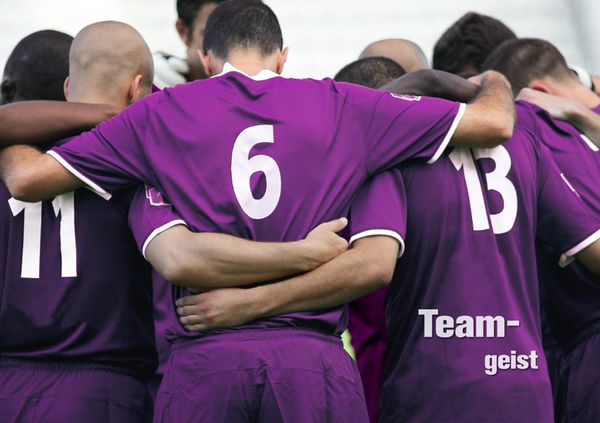 Produktbild: Mentales Training im Leistungssport