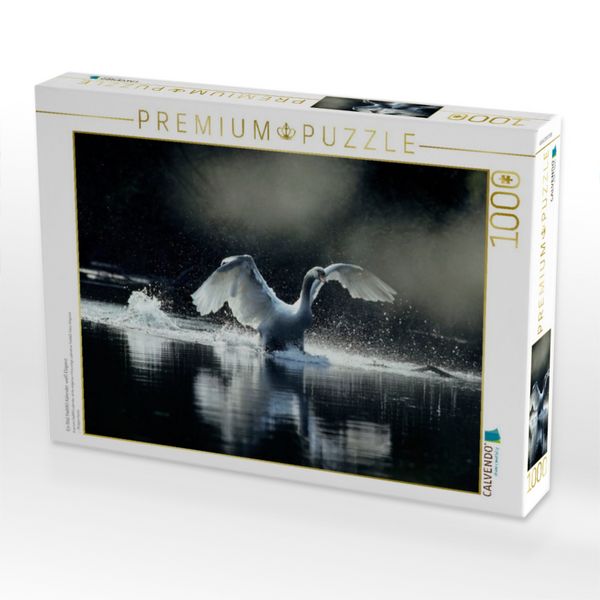 Produktbild: CALVENDO Puzzle Ein Bild SWANS Kalender. wei&szlig; Eleganz | 1000 Teile Lege-Gr&ouml;&szlig;e 64x48cm Foto-Puzzle f&uuml;r gl&uuml;ckliche Stunden
