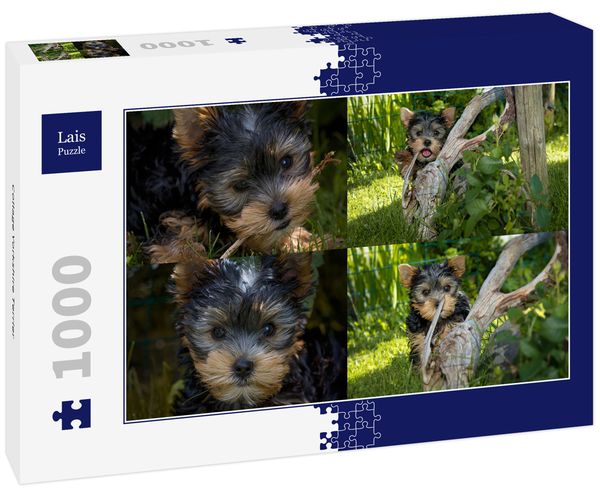 Produktbild: Lais Puzzle Collage Yorkshire Terrier 1000 Teile