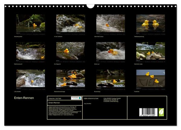 Produktbild: Enten-Rennen (Wandkalender 2026 DIN A3 quer), CALVENDO Monatskalender
