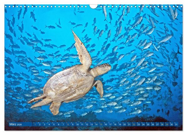Produktbild: Planet Wasser: Von wegen Planet Erde (Wandkalender 2026 DIN A3 quer), CALVENDO Monatskalender