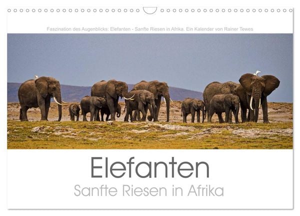 Elefanten - Sanfte Riesen in Afrika (Wandkalender 2026 DIN A3 quer), CALVENDO Monatskalender